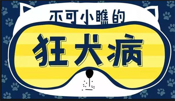 2020年狂犬病防治知识宣传