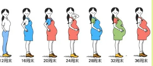 专家课堂开课了︱备孕路上第一站—TORCH 筛查